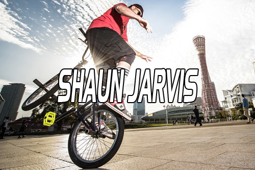 Shaun Jarvis